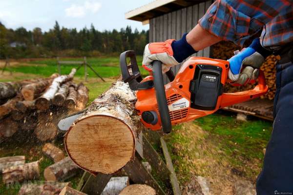 В крае изменились правила приобретения древесины для своих нужд