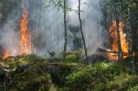 Красноярскому краю предвещают пожароопасное лето