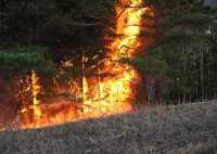 В Ермаковском районе полыхает лесной пожар