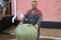 Житель Ирбейского района вырастил тыкву весом более 41 кг