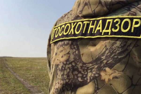 В Идринском районе браконьеры протаранили автомобиль охотинспекторов