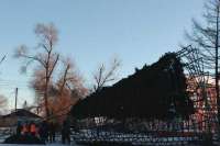 Стали известны причины падения елки в Минусинске
