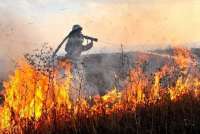 Минусинский район вырвался в абсолютные «лидеры» по количеству степных пожаров