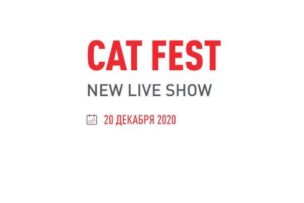Минусинские любители кошек смогут увидеть онлайн-шоу «КОТОФЕСТ-2020»