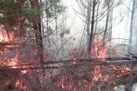 В Хакасии произошел первый лесной пожар