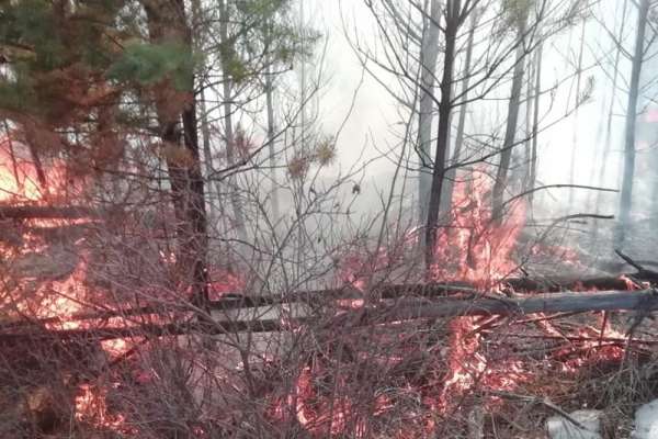 В Хакасии произошел первый лесной пожар