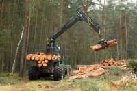 В Хакасии тракторист убил механика упавшим деревом