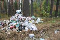 Жители Минусинского района были задержаны при попытке вывалить мусор в сосновом бору