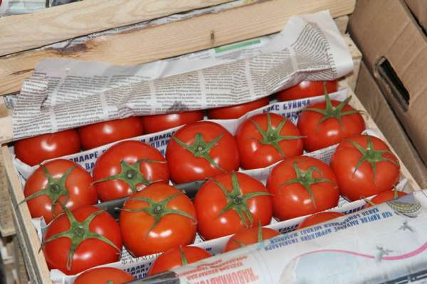 В Красноярске уничтожили 18 тонн узбекских томатов