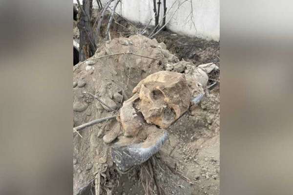 В Кызыле обнаружили скелетированные останки человека