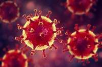 В Минусинском районе обсудили меры по борьбе с распространением коронавируса
