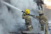 Пожары в Хакасии: гибель в огне животных и эвакуация в Черногорске