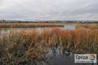 Минусинское болото начнет исчезать в 2020 году