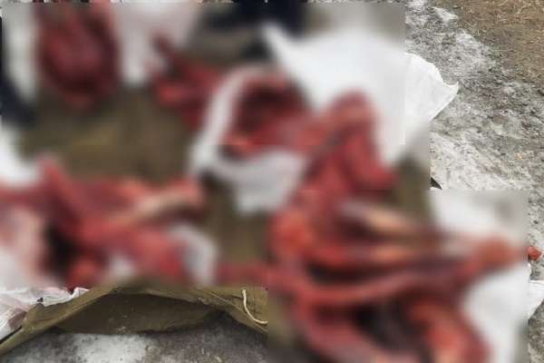 В Хакасии у браконьеров забрали автомобиль и оружие за убийство четырёх косуль