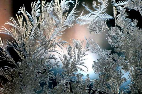 Аномальный холод или тепло: Каким будет декабрь в южной Сибири?