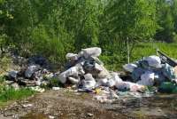 В Хакасии при попустительстве местных властей мусоросборщик организовал несанкционированную свалку