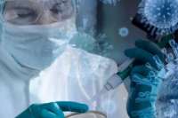 За сутки в Хакасии выявили 36 человек, заболевших коронавирусом