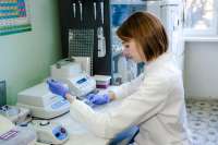 Красноярские ученые: белок сурвивин может помочь в борьбе с раковыми заболеваниями