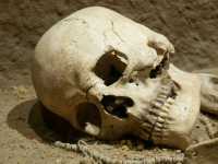 В Абакане нашли череп человека, жившего около трех тысяч лет назад