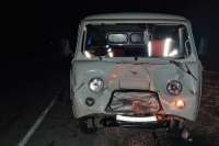 В Ширинском районе в результате столкновения с коровой пострадали водитель и пассажир