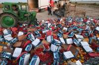 Госдума РФ может запретить уничтожать продукты питания