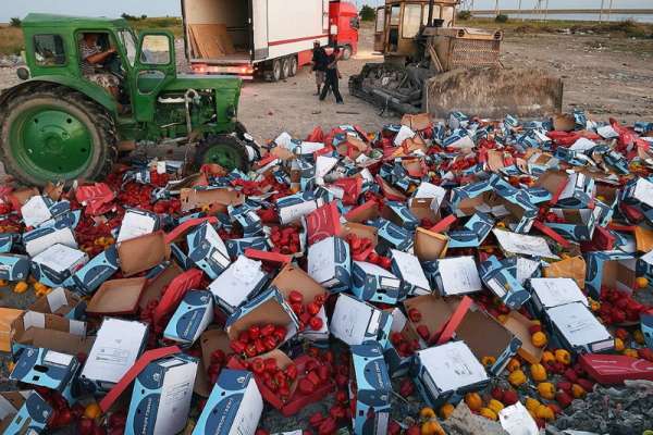 Госдума РФ может запретить уничтожать продукты питания
