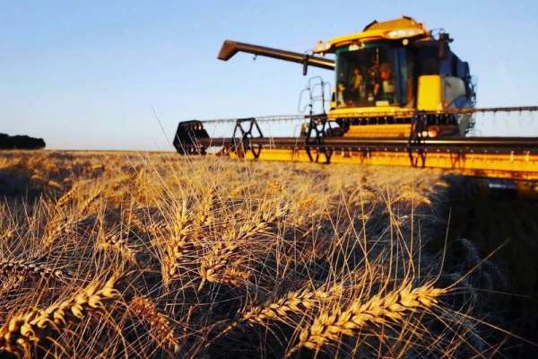 Аграрии Минусинского района продолжают борьбу за урожай