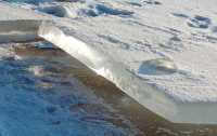 Жительница Минусинска провалилась под лед протоки реки Енисей
