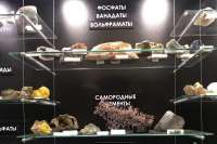 Красноярский музей GEOS приглашает желающих на онлайн-экскурсии