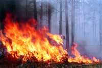 Возле Лугавского горел лес