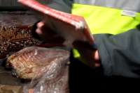 В Норильске уничтожено 4,5 тонны говядины, вывезенной из Красноярска