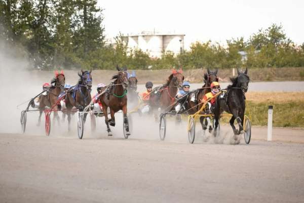 В Хакасии к участию в турнире допустят беспородных лошадей