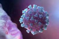 Количество инфицированных коронавирусом в Минусинске и Минусинском районе перевалило за 6 тысяч