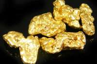 На севере Красноярского края выявлен факт хищения более 200 гр. золота