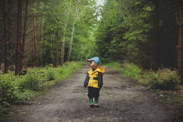 В Ирбейском районе 4-летний мальчик ушел в лес и потерялся