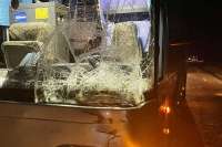 В Хакасии маршрутный автобус сбил коня