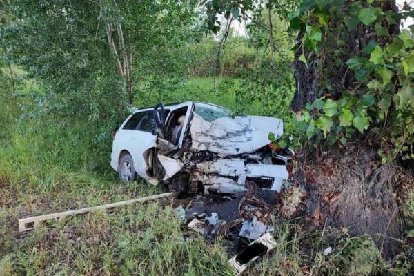 В Хакасии дорожная авария унесла жизнь 64-летнего мужчины