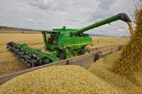 Урожай зерновых в Красноярском крае собран более чем на 50%