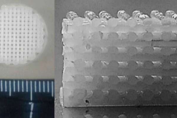 Красноярские учёные напечатали на 3D-принтере биоразлагаемые пластиковые имплантаты