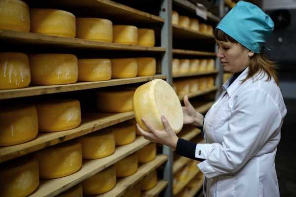 В Краснотуранском районе начнут производить сыр, в Минусинске - пенопласт