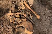 В Абакане хозяева двух земельных участков в один день обнаружили останки людей