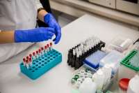 Новосибирские ученые начали разработку двух вакцин от китайского коронавируса