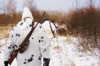Охотников Красноярского края призвали сдать разрешения на добычу животных