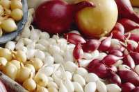 В Шушенском выявлены контрафактные посадочные материалы: семена овощей и лук-севок
