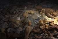 В Хакасии нашли пещеру с костями древних животных