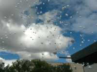 В небе над Минусинском воспарили сотни белых шаров (фото)