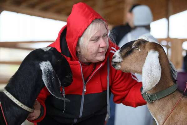 В Красноярске прошла краевая выставка коз