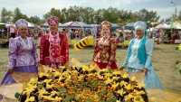 В Минусинском районе прошел юбилейный День подсолнуха (фото)