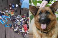 В Хакасии служебная собака привела полицейских к дому магазинного вора