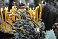 Христиане Минусинска и всего мира празднуют Вербное воскресенье